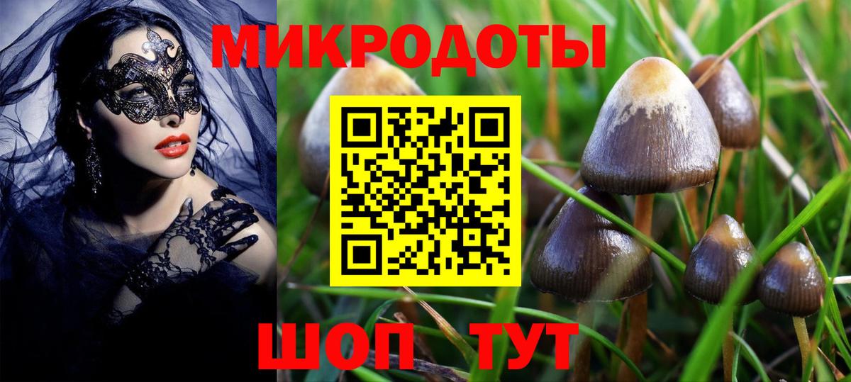 Кострома  Галлюциногенные грибы мицелий  Псилоцибиновые грибы мухоморы  Вход с VPN 