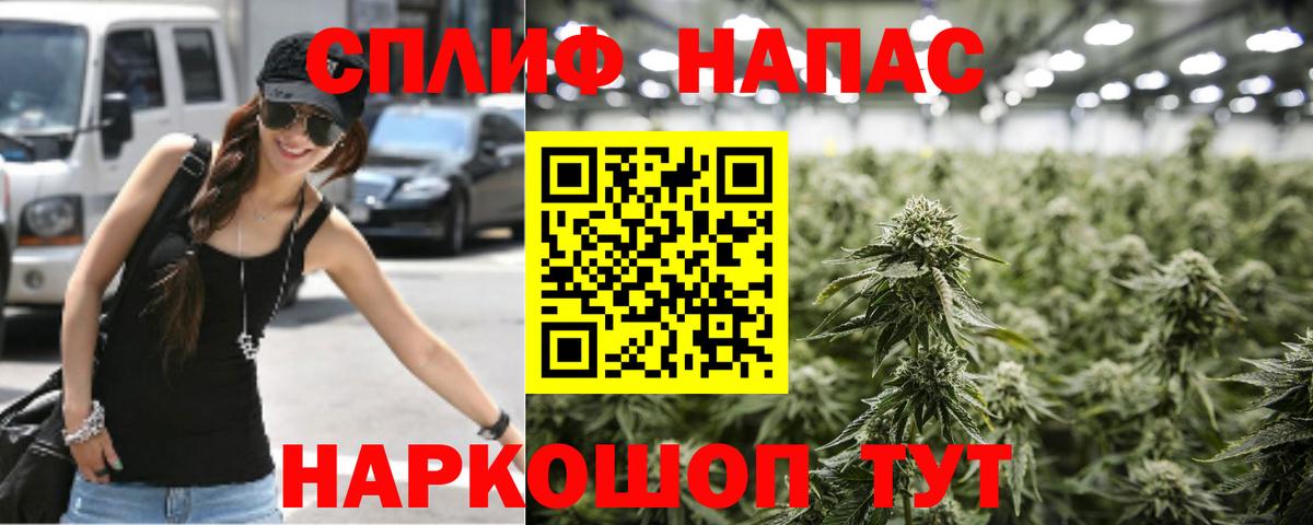 Бошки Шишки Amnesia  Бошки Шишки сатива  Вход с VPN  Кострома  Марихуана гибрид 